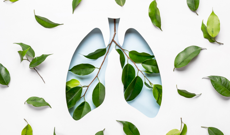 Arrêter de fumer avec le CBD